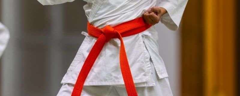 Coppa di Natale di Karate